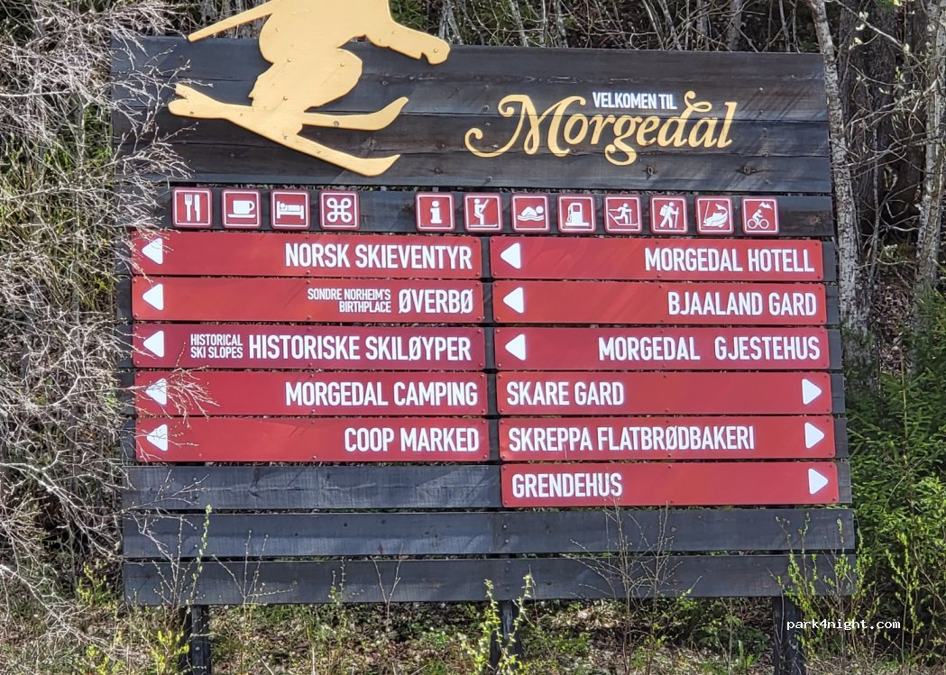 (3848) Morgedal - 134 Morgedalvegen — foto 3