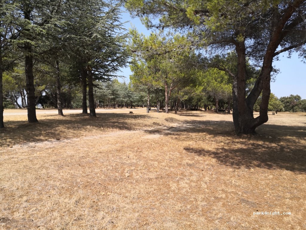 (30131) Pujaut - 1 Chemin du Moulin — foto 2