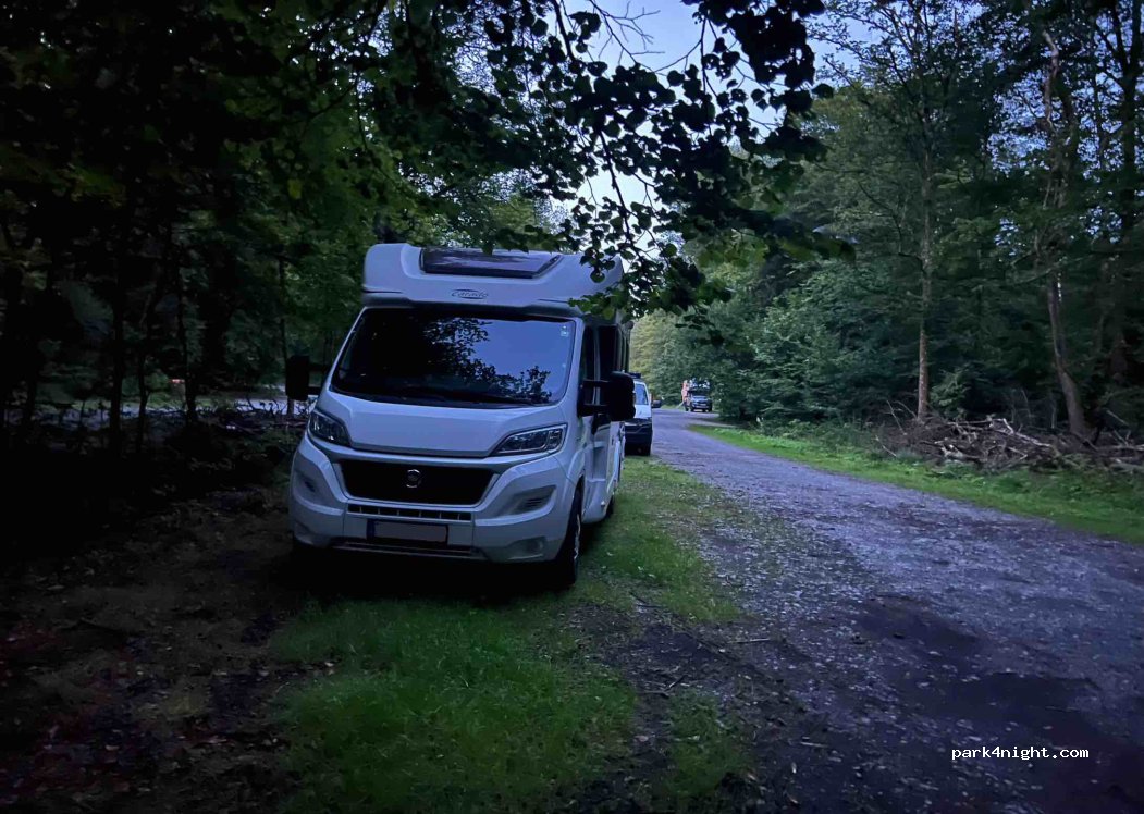 (97222) Gramschatzer Wald - St2294 — foto 4