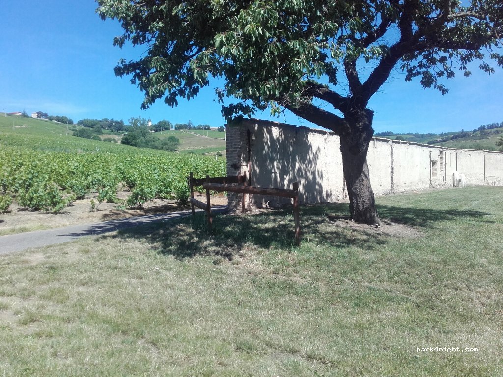 Domaine PASSOT — foto