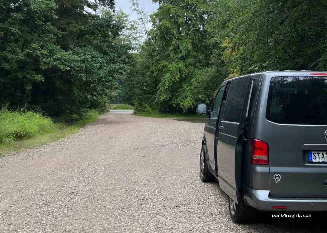 (90562) Neunhofer Forst - ERH6 — foto 4