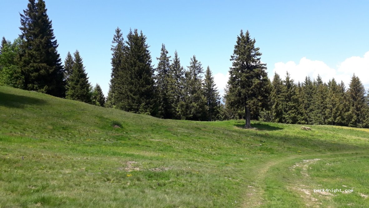 (38580) La Chapelle-du-Bard - D109 — foto
