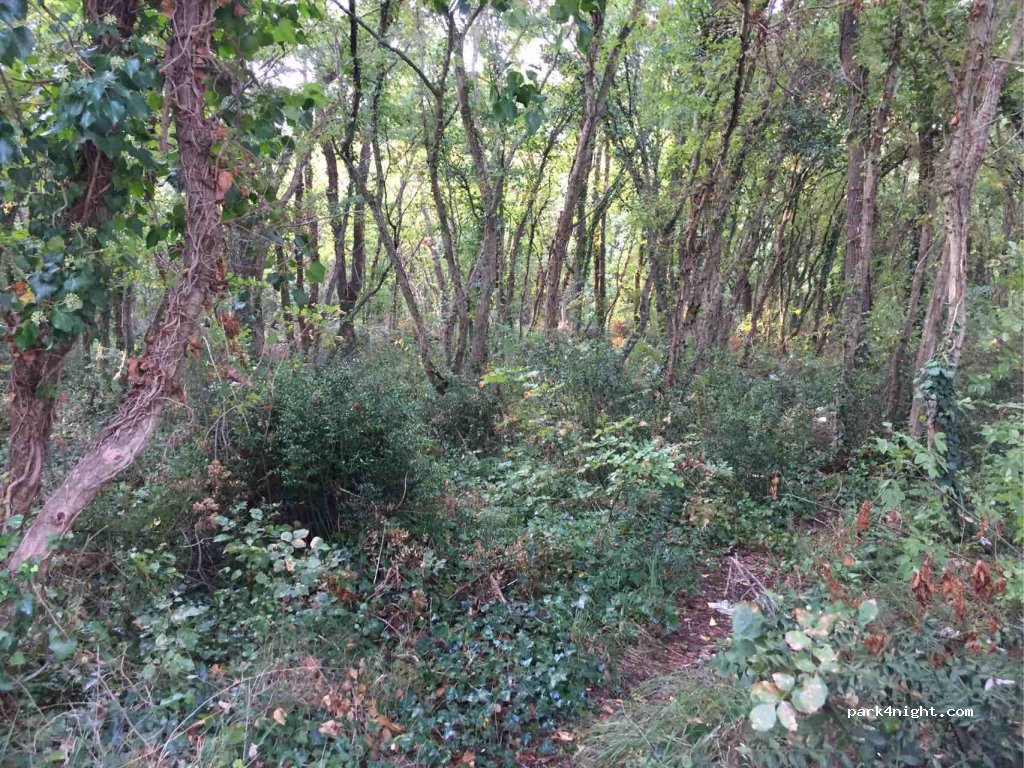 (52449) Červar - Unnamed Road — foto 2