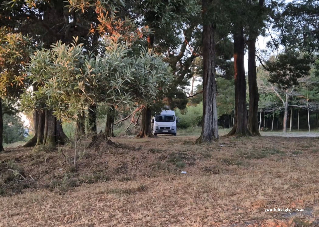 (36142) Vilaboa / Marín - Unnamed Road — foto 4