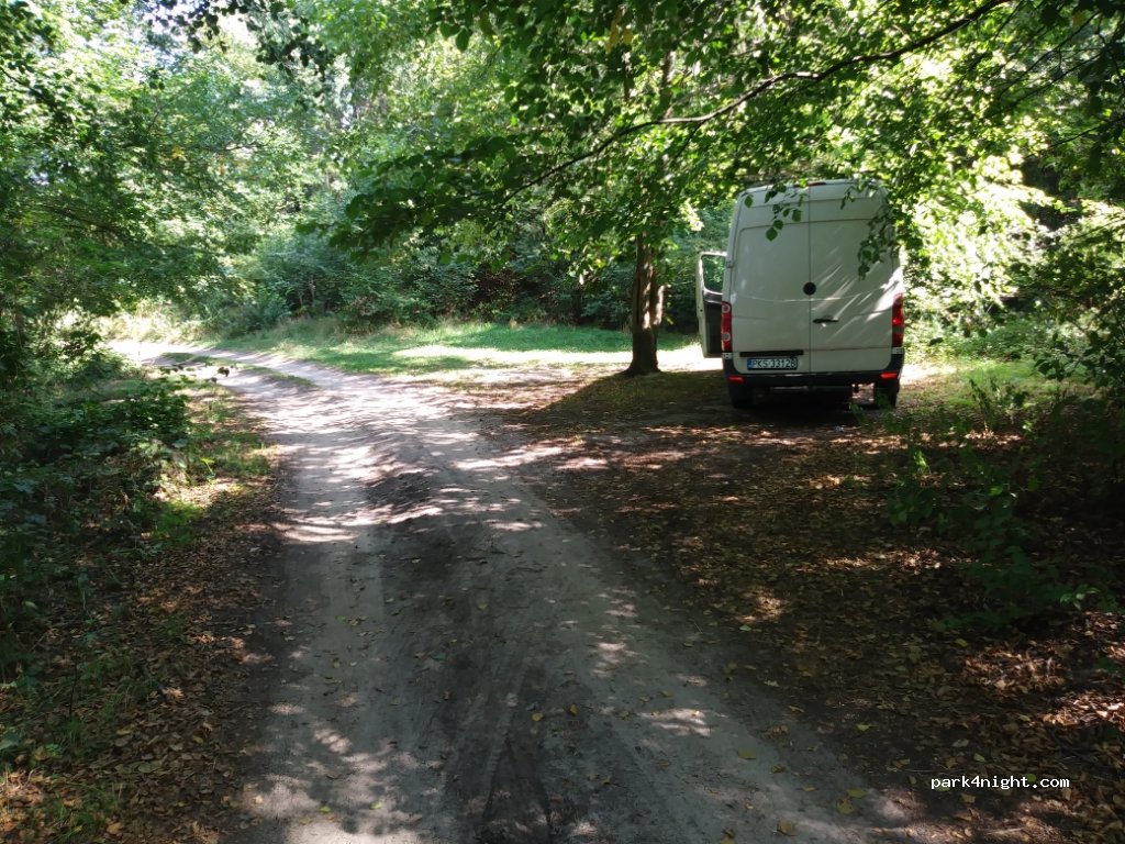 (64-729) Dzierżążno Wielkie - — foto