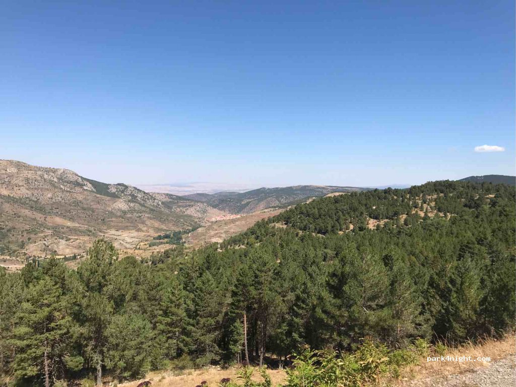 (44459) Camarena de la Sierra - Unnamed Road — foto 3
