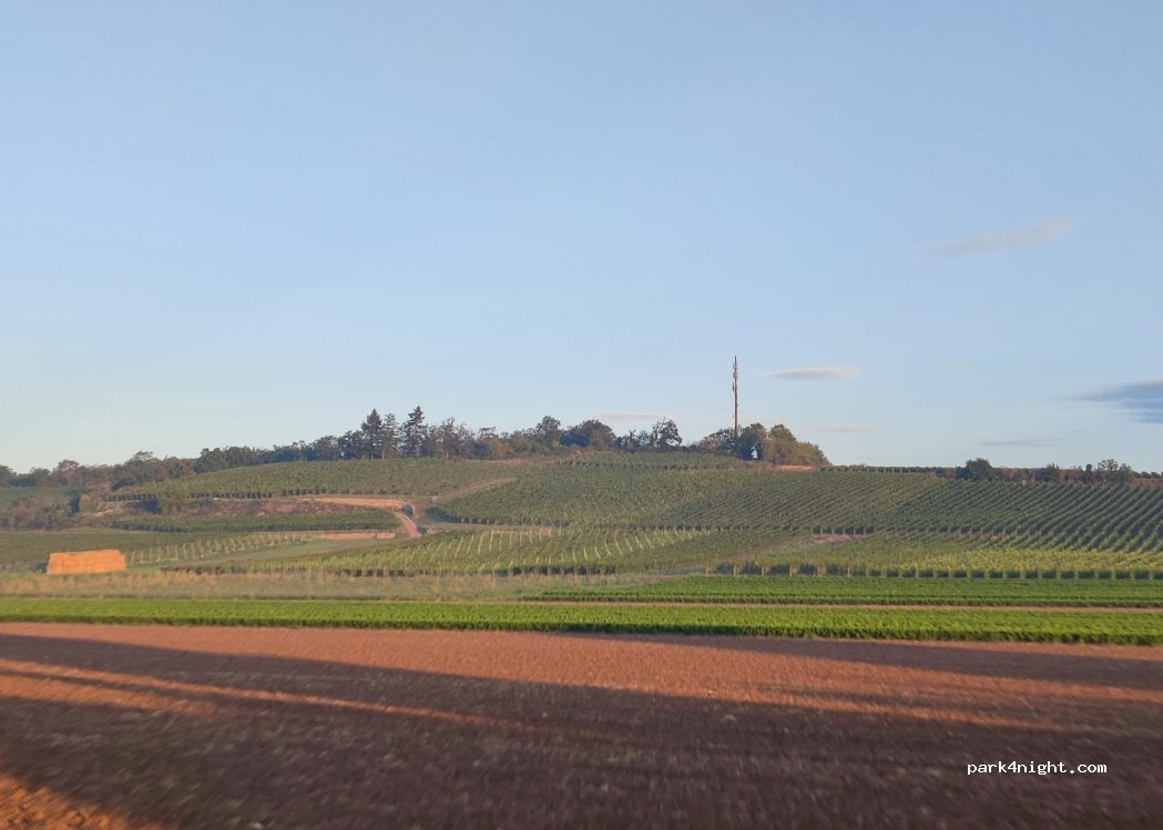 Weingut Philipp Schnabel — foto 3