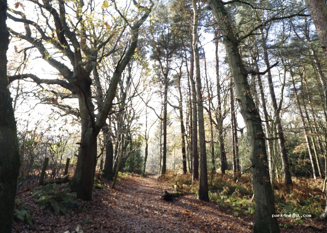 Delamere Forest Camping and Caravanning Club Site — foto 2
