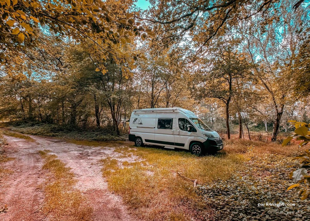 (26871) Papenburg - Hofer Weg — foto 4