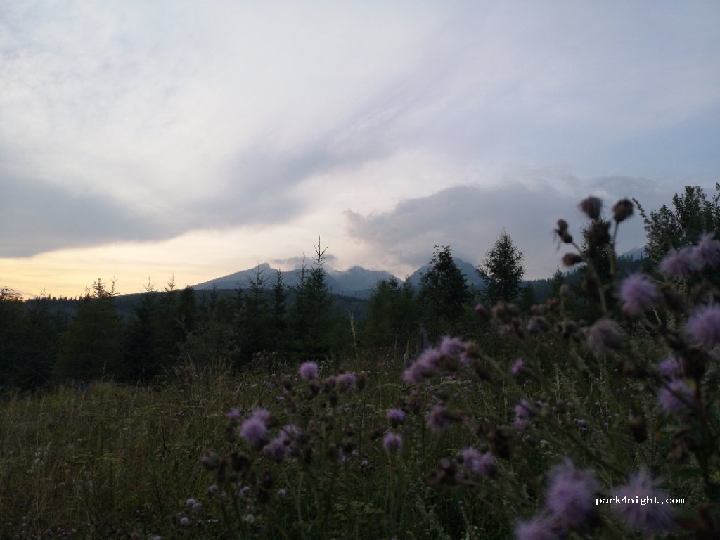 (059 85) Vysoké Tatry - 538 — foto