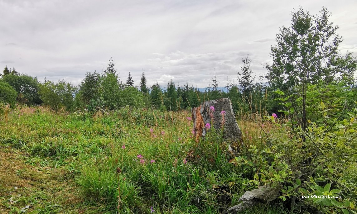 (059 85) Vysoké Tatry - 538 — foto 4