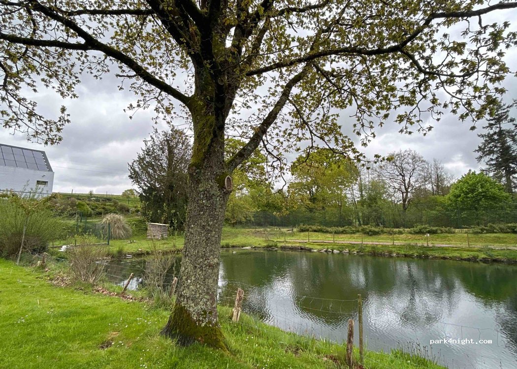 (50410) Le Chefresne - D208 — foto 3