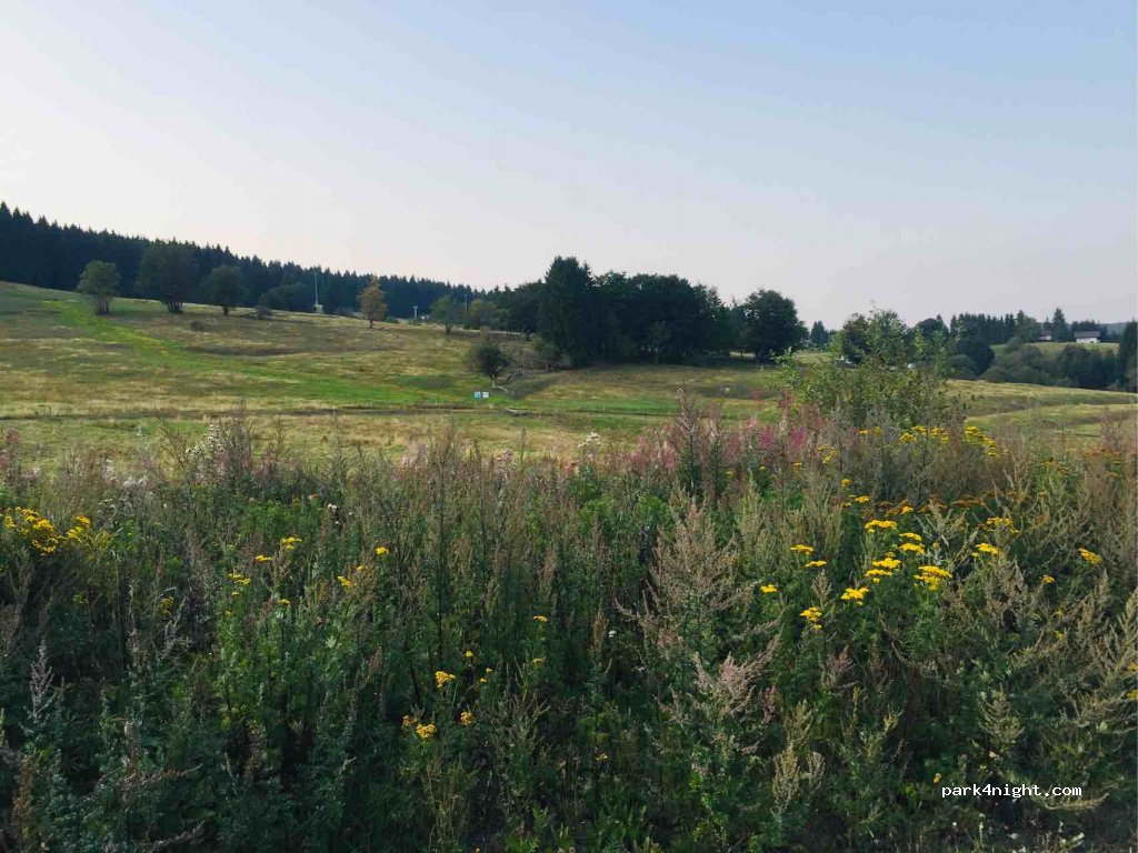 (98711) Schmiedefeld am Rennsteig - 51 Suhler Straße — foto