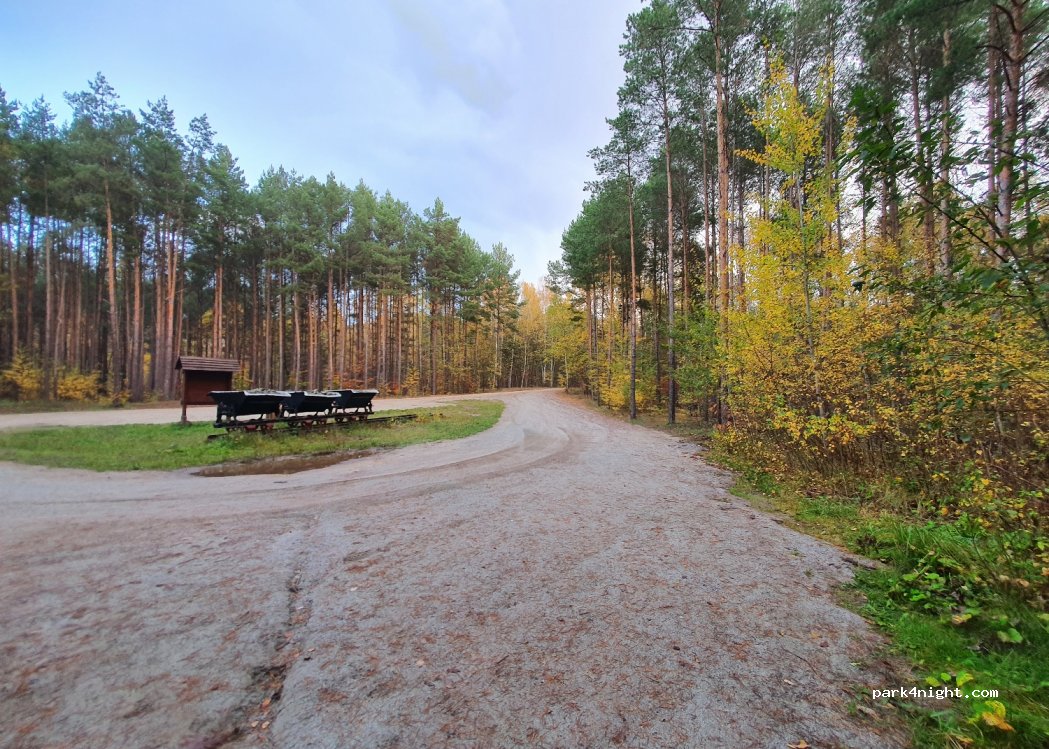 (68-208) Łęknica - Droga Wojewódzka 350 — foto 4