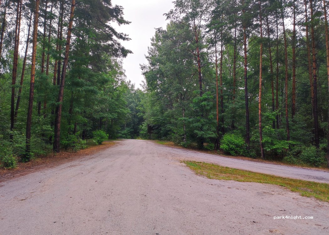 (68-208) Łęknica - Droga Wojewódzka 350 — foto 5