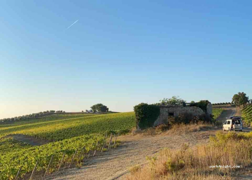 (53011) Topina - Unnamed Road — foto 2