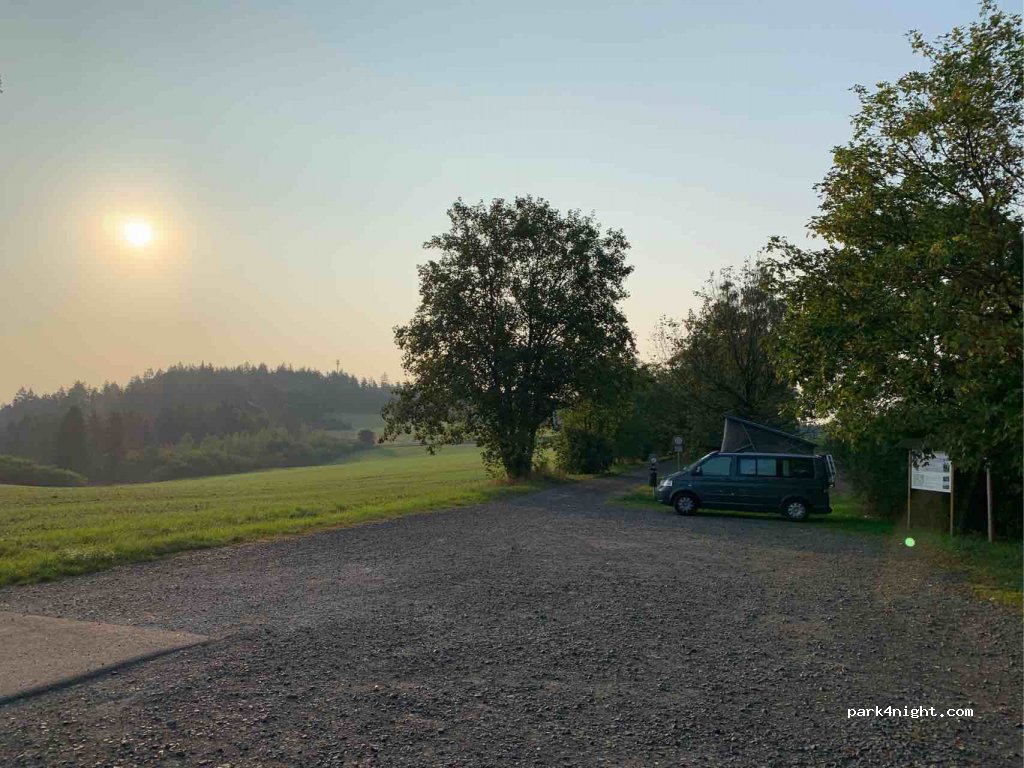 (96482) Ahorn - CO12 — foto 2