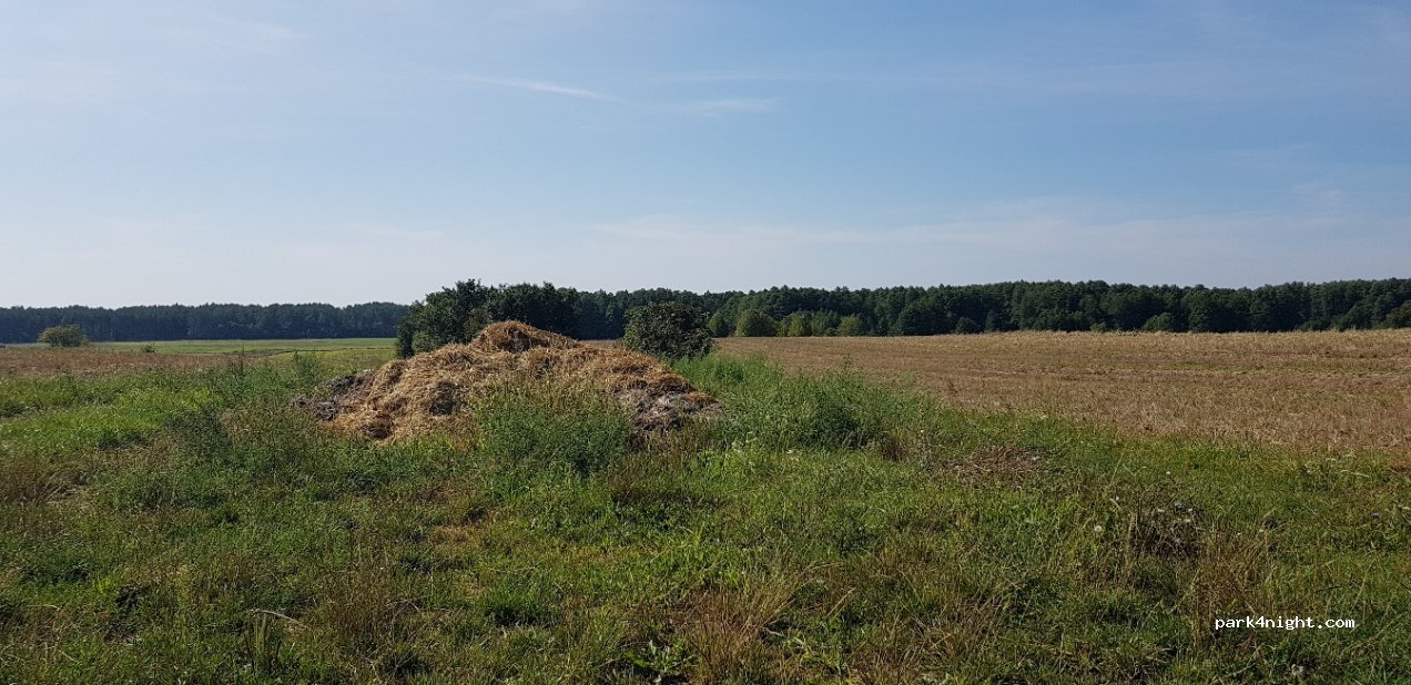 (05) Kręgi - Unnamed Road — foto