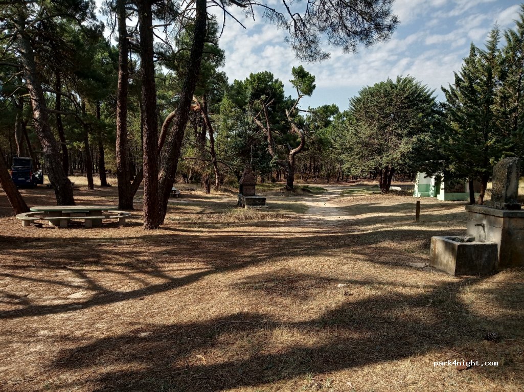 (42366) Berlanga de Duero - 12 SO-P-4143 — foto