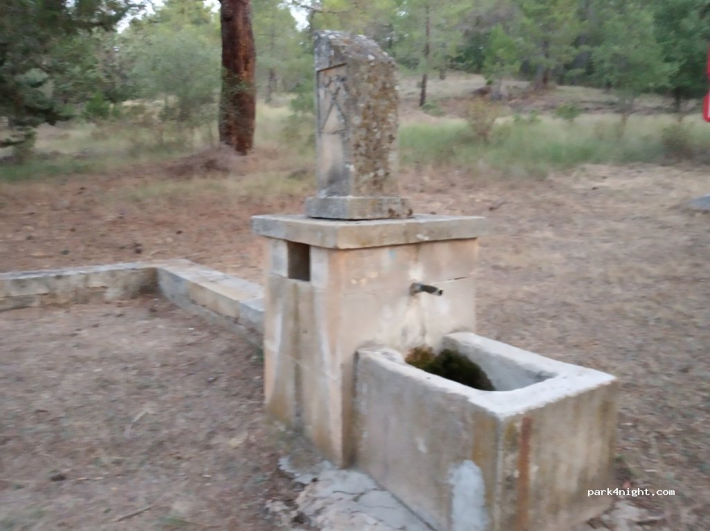 (42366) Berlanga de Duero - 12 SO-P-4143 — foto 4