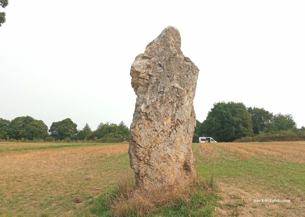 (35360) Médréac - Carcouvran — foto 5