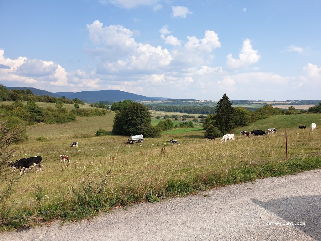 (98673) Auengrund - L2053 — foto