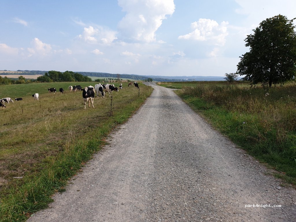 (98673) Auengrund - L2053 — foto 4