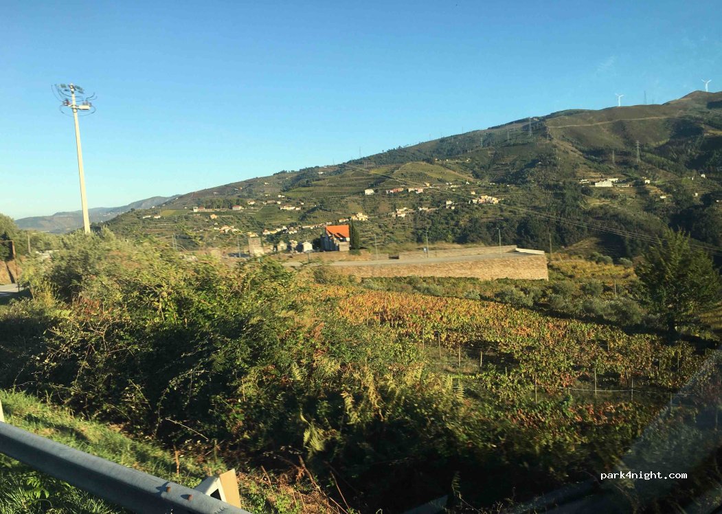 (5040) Mesão Frio - N101 — foto 3