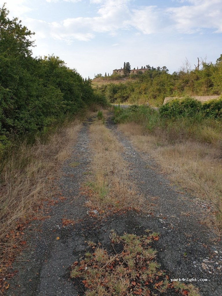 (56048) Saline - Strada Regionale 439 Sarzanese Valdera — foto 3