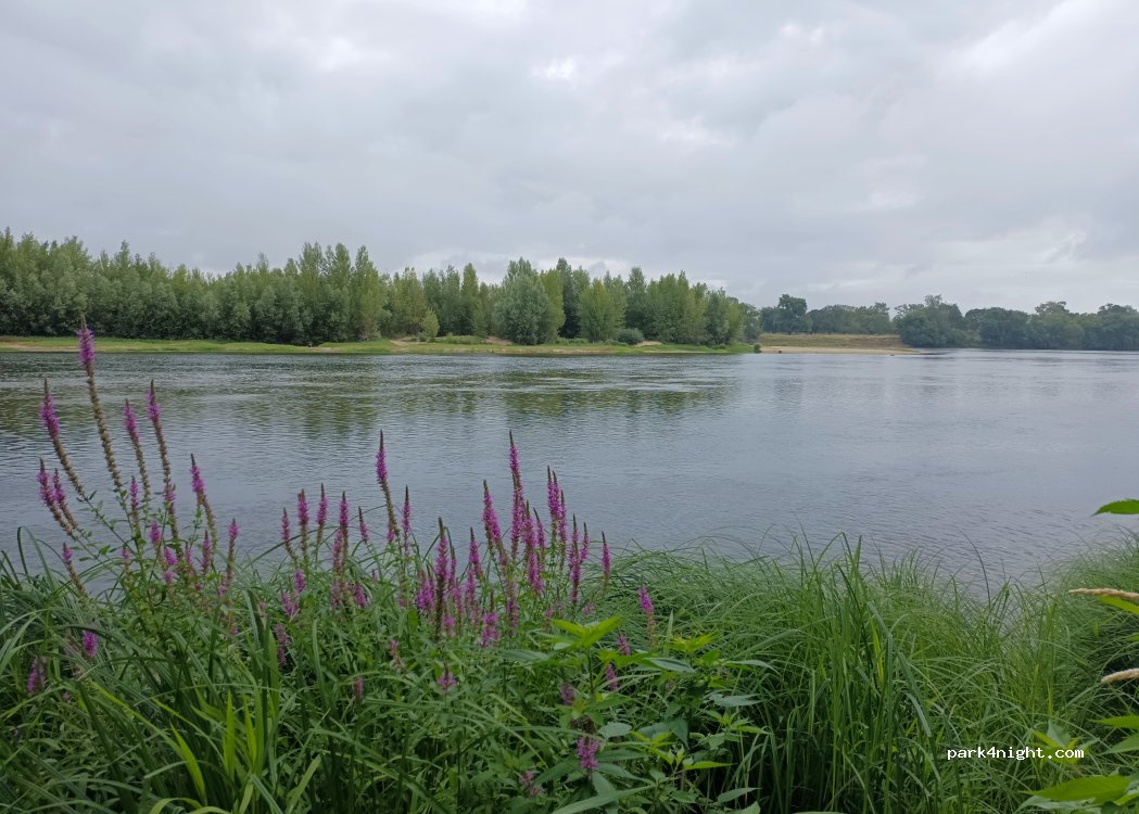 (49400) Saumur - Chemin de la Petite Monnie — foto 5