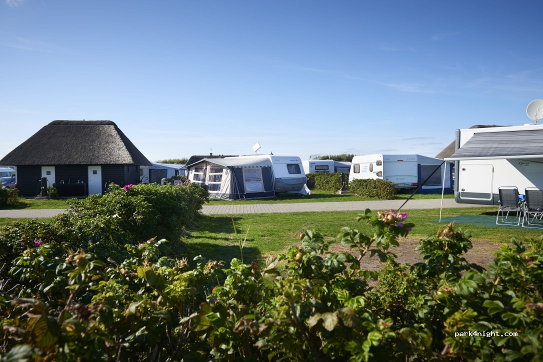 Hvidbjerg Strand Camping & Resort - Blåvand Camping — foto 2