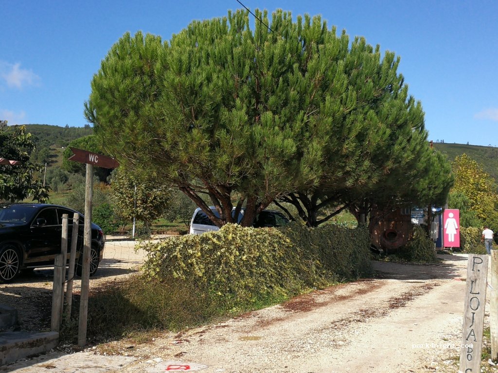 (2040-133) Rio Maior - 39 Estrada das Salinas — foto 2