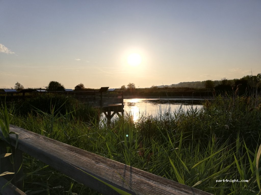 (76430) Sandouville - Route de l'Estuaire — foto 2