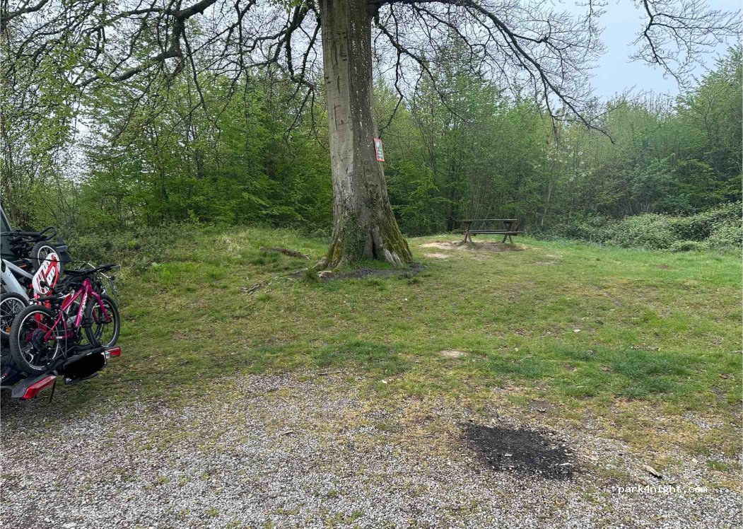 (62340) Guines - Route Forestière des Chasses Marées — foto 5