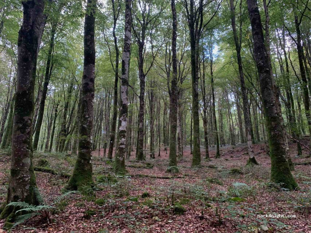 () Sheskernagh - Unnamed Road, Mullaghmeen — foto 2