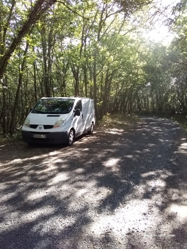 (63710) Saint-Nectaire - Bouse — foto