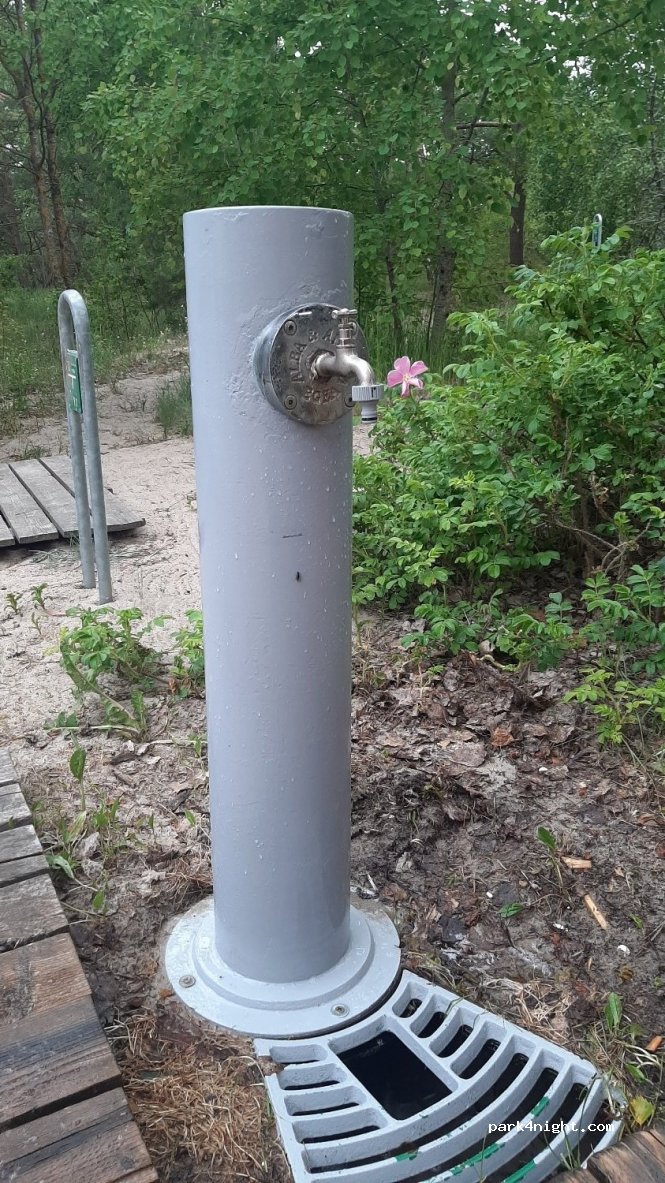 (93102) Juodkrantė - 3 Žaliasis kelias — foto 2