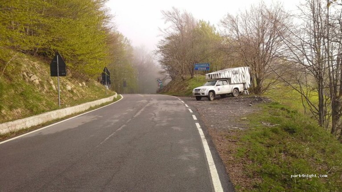 (16020) Fascia - Strada Provinciale 16 — foto