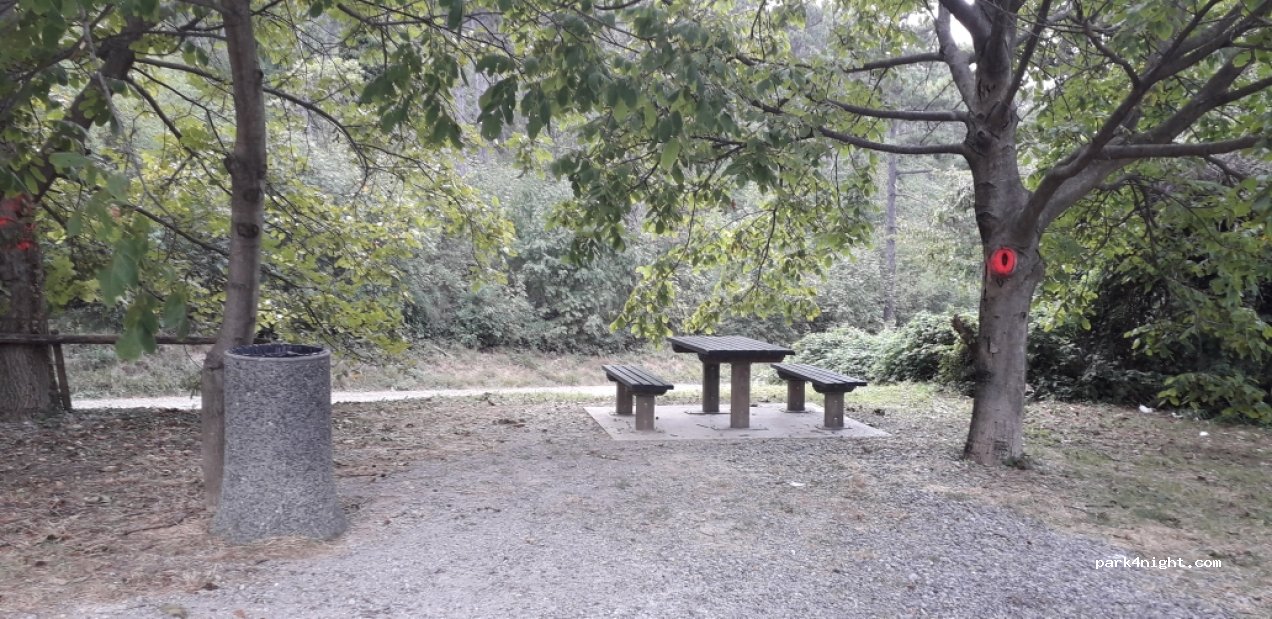 (6222) Štanjel - Štanjel — foto 2