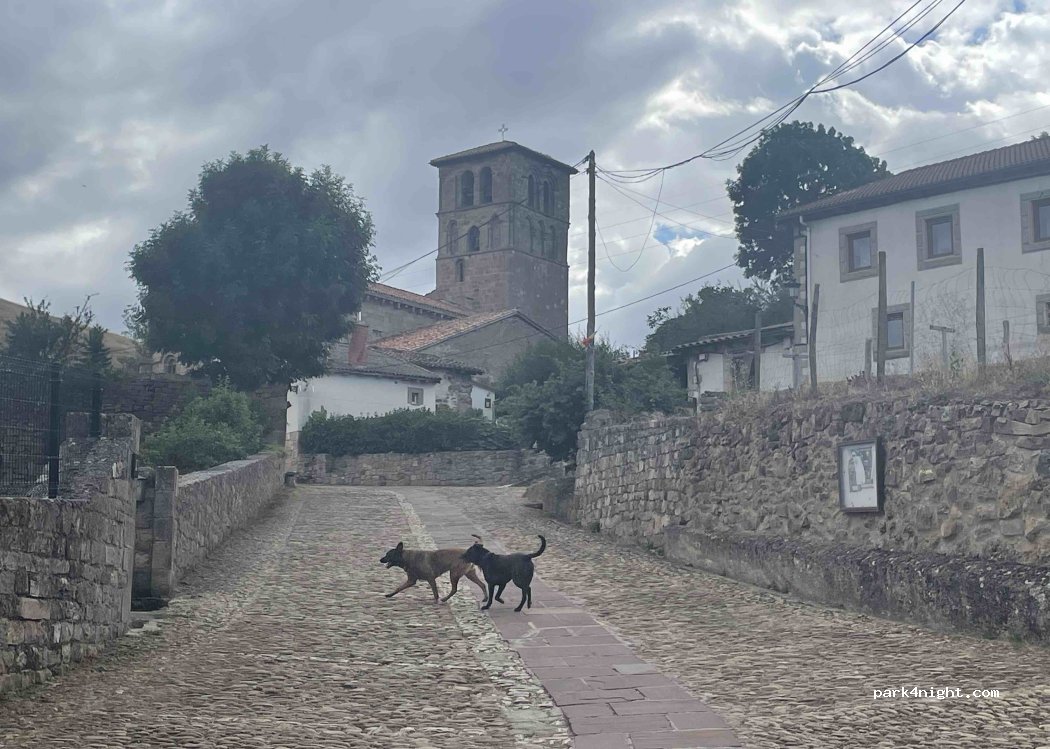 (39213) San Pedro - 1002A Poblado Cervatos — foto 5