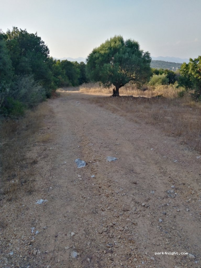 (240 14)  - Unnamed Road — foto 2