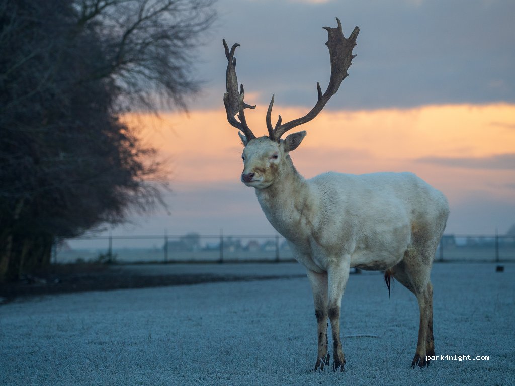 Hoeve Noordveld — foto 4