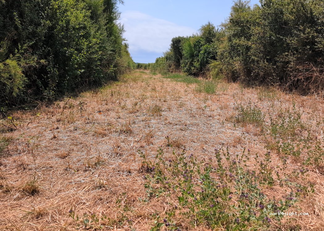 (85340) Olonne-sur-Mer - 62 Rue du Pont — foto 5