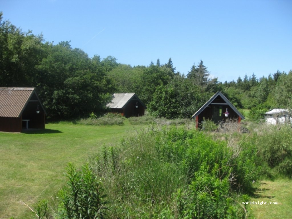 Tipperne Camping — foto 3