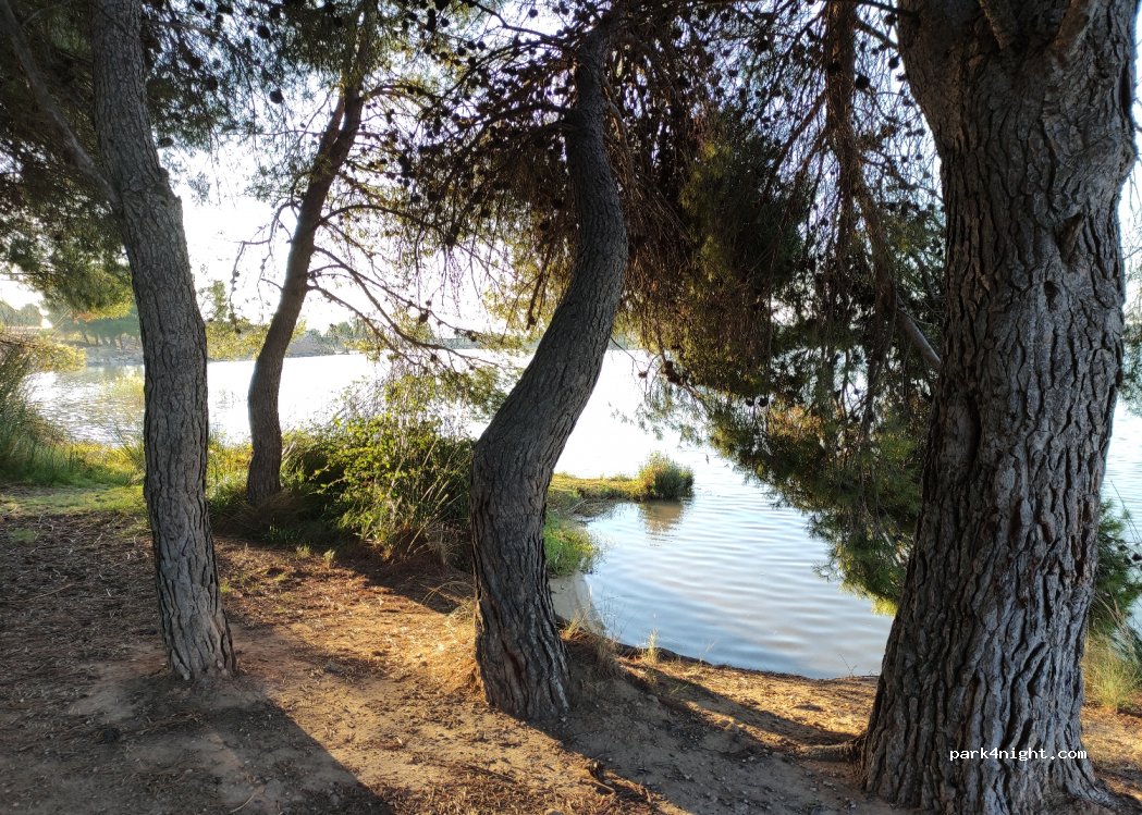 (44600) Alcañiz - Camino de Valmuel — foto 3
