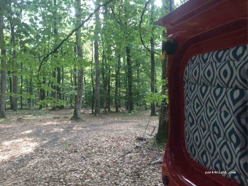 (72220) Jupilles - Route Forestière de la Croix Ségrier — foto