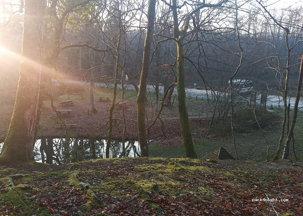 (72220) Jupilles - Route Forestière de la Croix Ségrier — foto 4