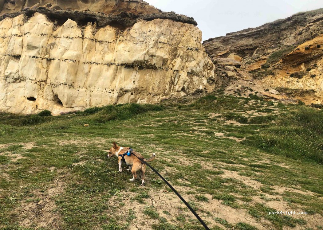(BN9 9DU)  - 18 Fort Road — foto 2