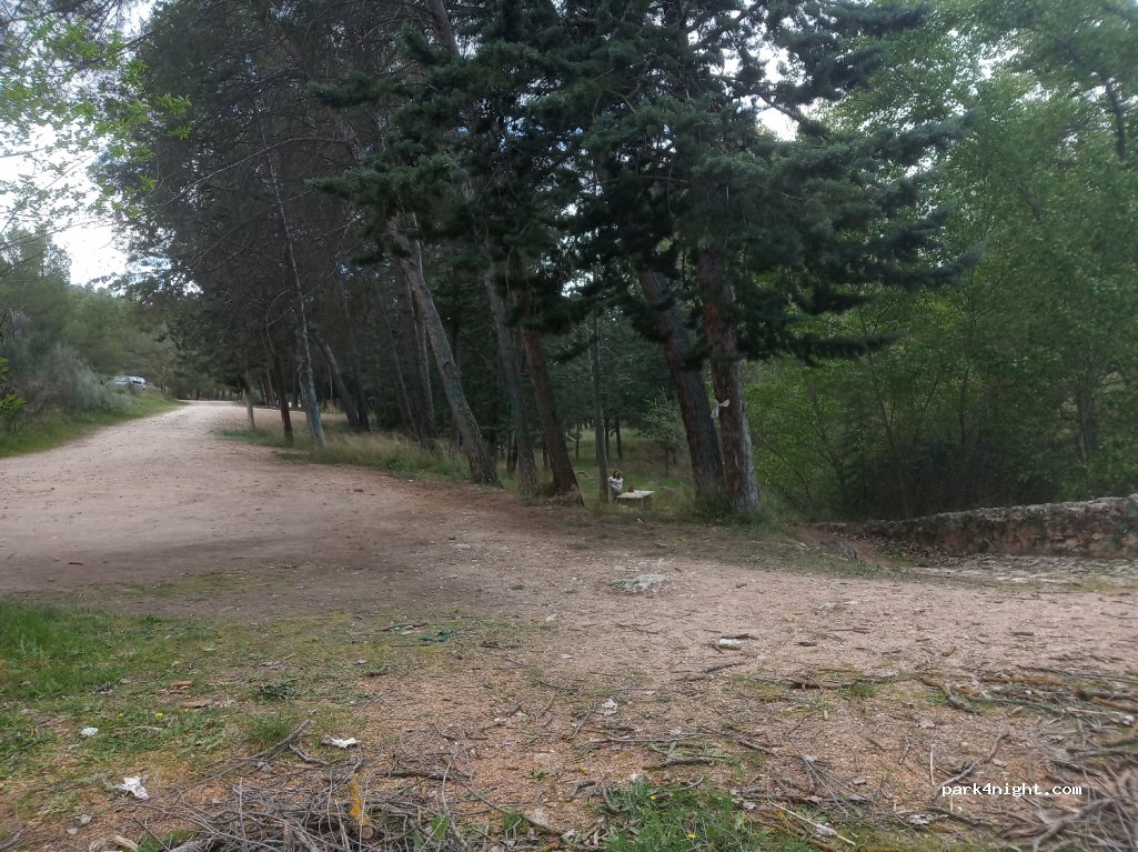 (02420) Hellín - 260 CM-412 — foto 2