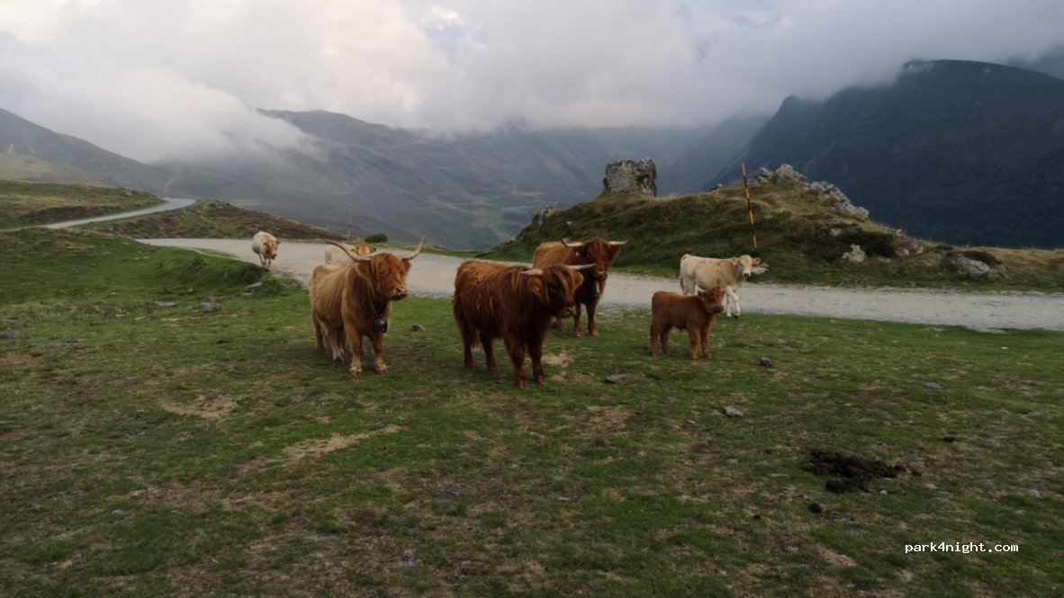 (65100) Gazost - Naouit — foto 2